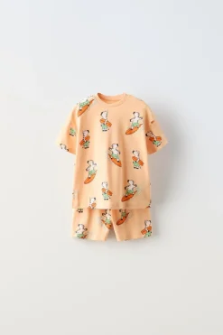 1-6 ANOS/ CONJUNTO ZEBRAS SURF-ZARA Online