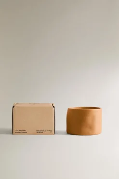 ZARA Fragrâncias Para Casa|Fragrâncias Para Casa^(150 G) VELA AROMÁTICA LOTUS BLOOM Violeta