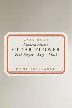 ZARA Fragrâncias Para Casa|Fragrâncias Para Casa^(100 ML) DIFUSOR EM STICKS CEDAR FLOWER Esmeralda