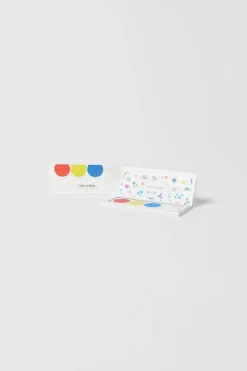 PALETA EM PÓ-ZARA Online