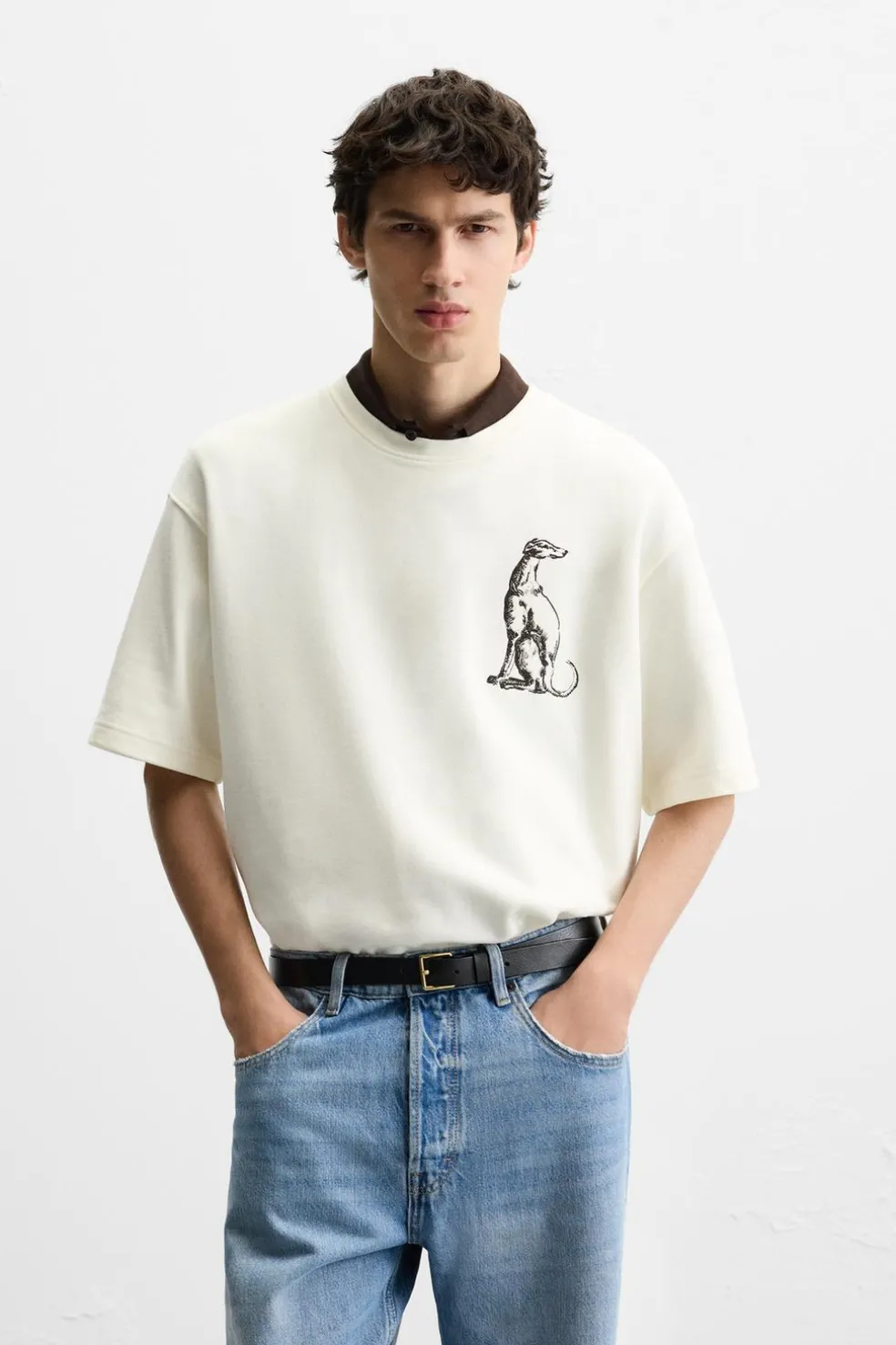 ZARA Sweatshirts|T-Shirts^SWEATSHIRT COM BORDADO GALGO Branco-marfim