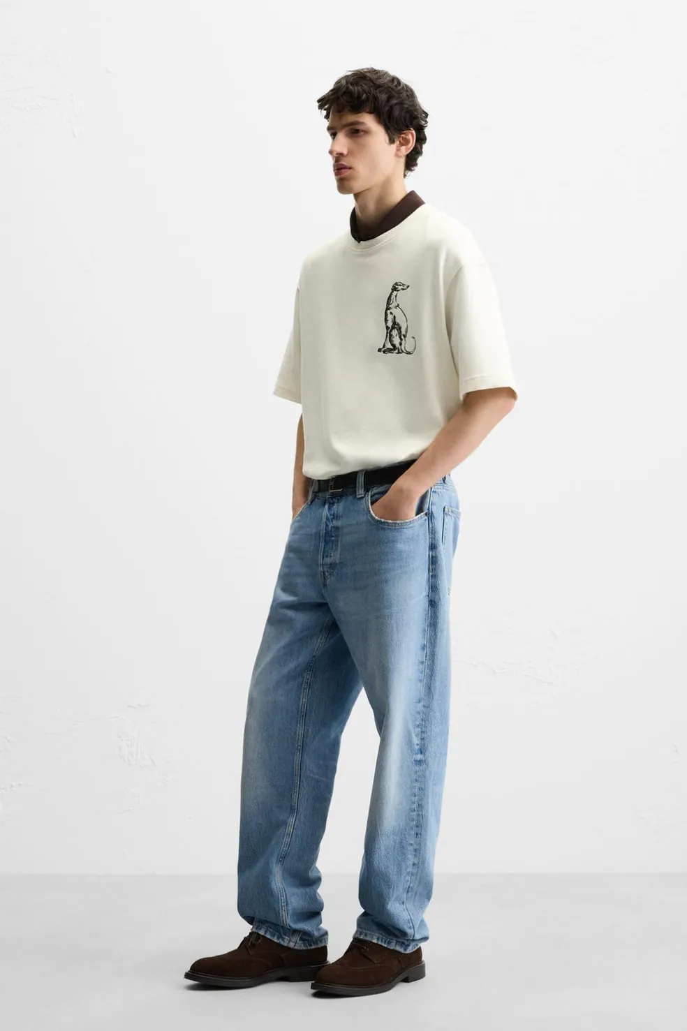 ZARA Sweatshirts|T-Shirts^SWEATSHIRT COM BORDADO GALGO Branco-marfim