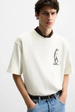 ZARA Sweatshirts|T-Shirts^SWEATSHIRT COM BORDADO GALGO Branco-marfim