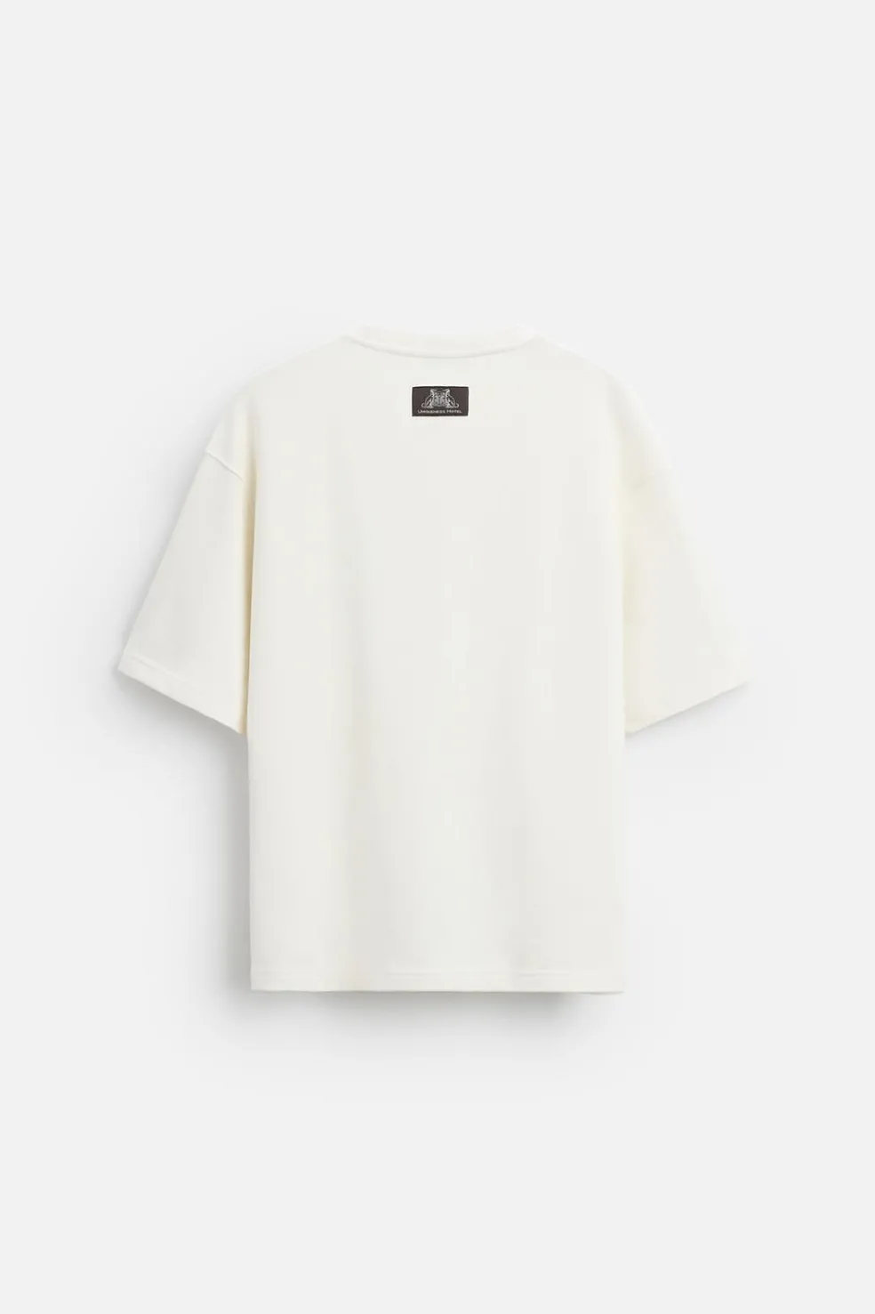 ZARA Sweatshirts|T-Shirts^SWEATSHIRT COM BORDADO GALGO Branco-marfim